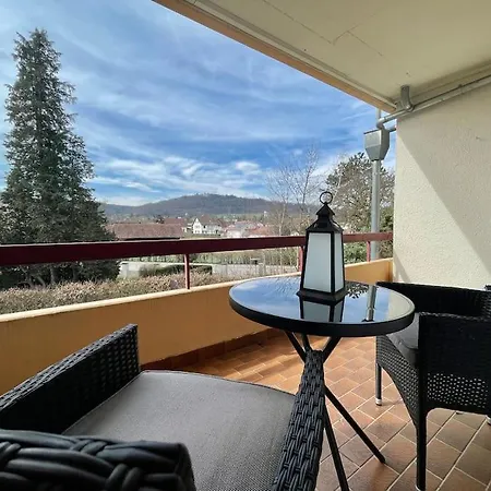 Schickes 1-zimmer Apartment, Nur 2 Min. Zum Rhein Daire Kussaberg