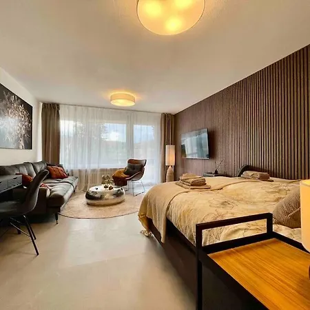 Schickes 1-zimmer Apartment, Nur 2 Min. Zum Rhein * Kussaberg