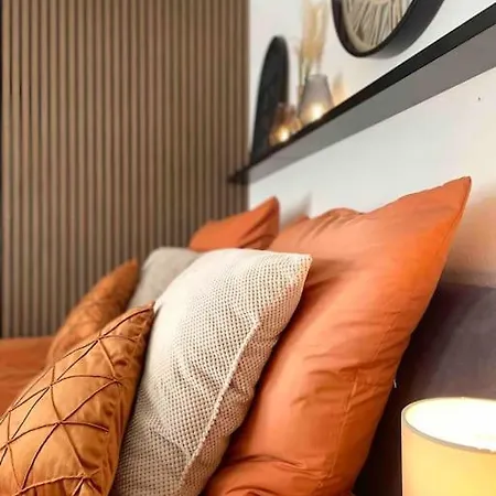 Schickes 1-zimmer Apartment, Nur 2 Min. Zum Rhein Apartment Kussaberg