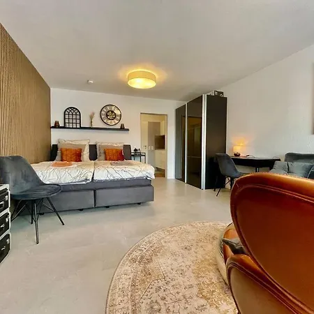 Schickes 1-zimmer Apartment, Nur 2 Min. Zum Rhein Kussaberg